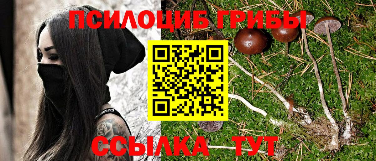 Галлюциногенные грибы MAGIC MUSHROOMS Бугуруслан