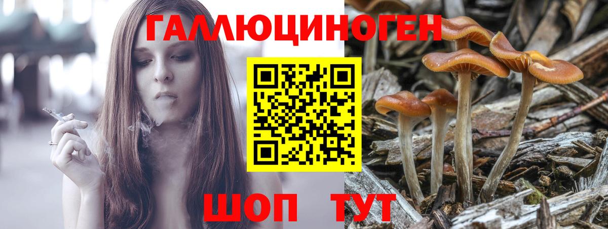 Галлюциногенные грибы ЛСД  Галлюциногенные грибы Psilocybine cubensis  Бугуруслан  Вход с VPN 